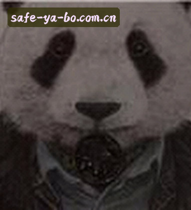 黄磊